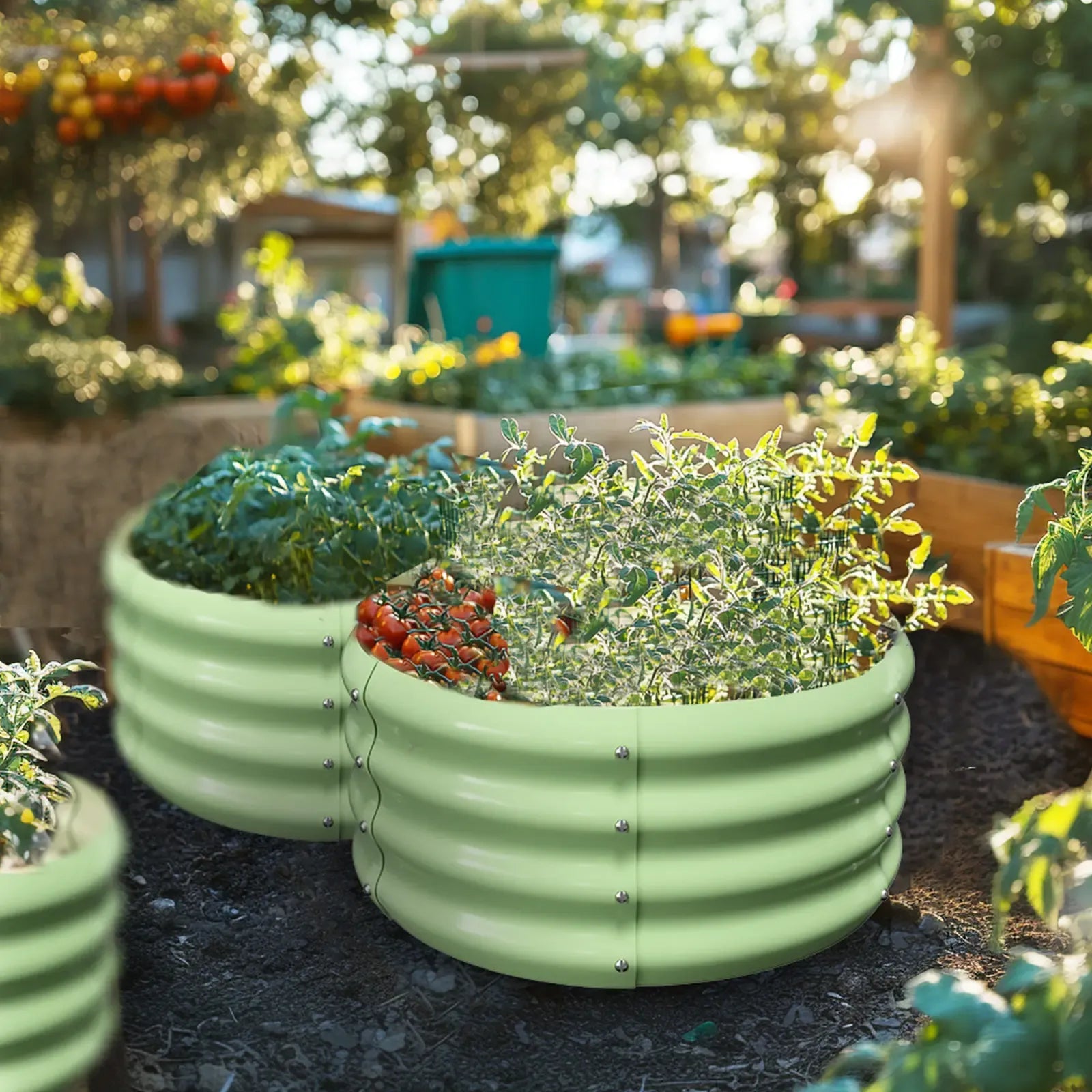 Lilypelle 3 Pack Round Galvanized Raised Garden Bed with Tomato Trellis, 24x24x12in Stackable Elevated Planter Box, Outdoor Metal Plant Bed for Tomatoes, Climbing Vines, Vegetables, Roses, Grapes, Eco-Friendly Design