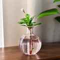 Pink Glass Vase Hydroponic Systems Flower Bottle Terrarium Decoracion Hogar Moderno Wedding Home Decoration